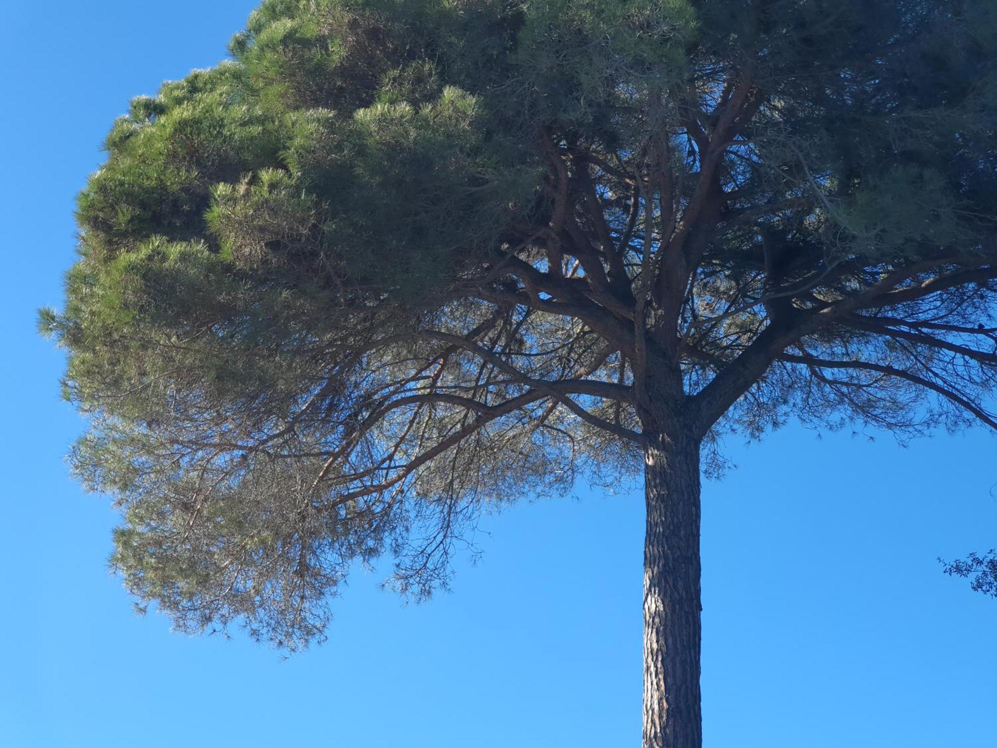 Spa Ibiza Dosrius Canyamás Zewnętrze zdjęcie